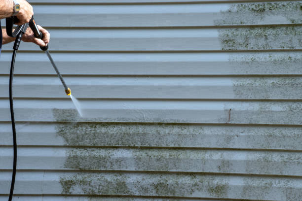 Best Same-Day Junk Removal Services  in Shelby, MT