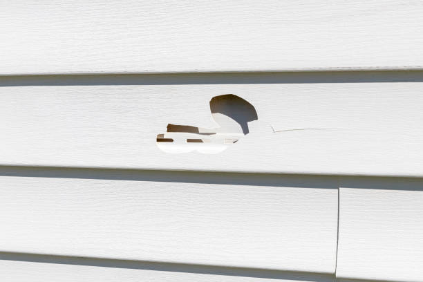 Best Demolition Debris Removal  in Shelby, MT