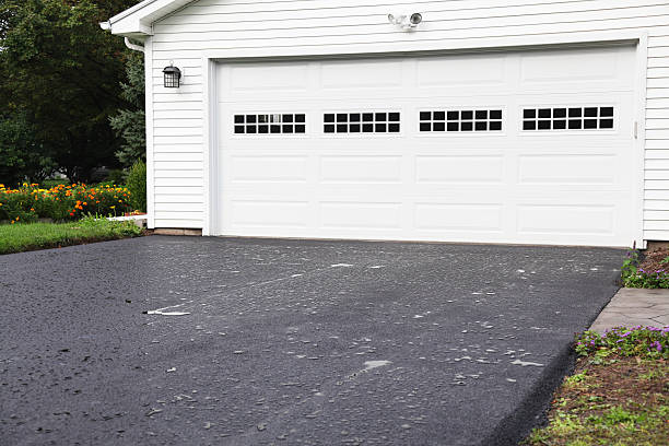 Best Hoarding Cleanup  in Shelby, MT